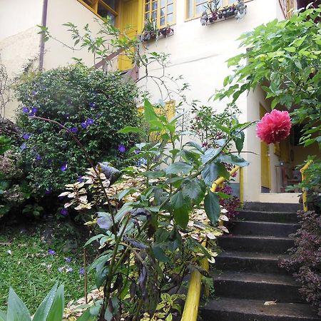 Rosa Amarela Ξενοδοχείο Sao Pedro da Serra  Εξωτερικό φωτογραφία