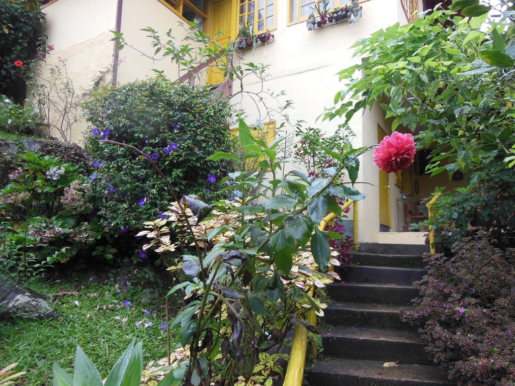 Rosa Amarela Ξενοδοχείο Sao Pedro da Serra  Εξωτερικό φωτογραφία